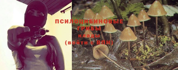 mdpv Алексин